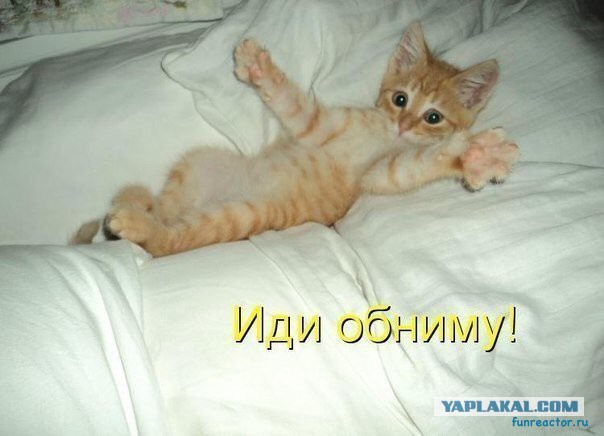 Молодые девки и сорокалетние старперы