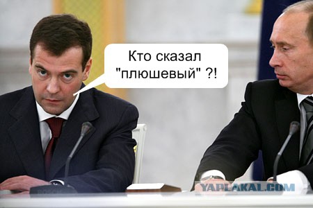 Плюшевый