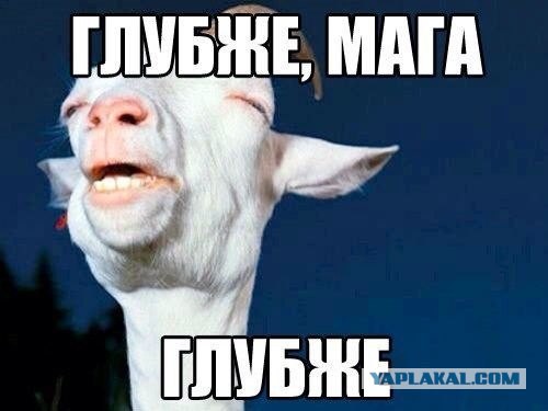 Думал взять с наскока
