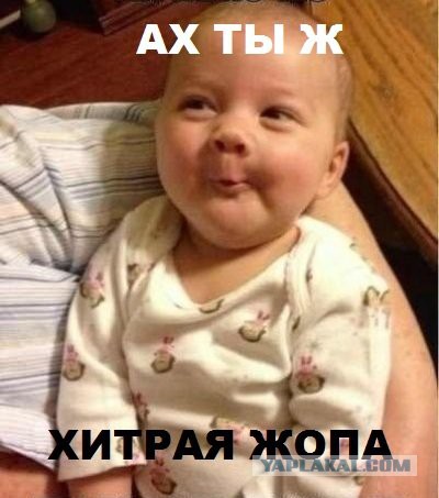 Не с кем сегодня побухать?