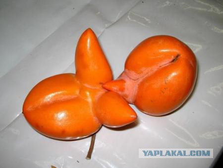Прикупил на днях  помидорок ....