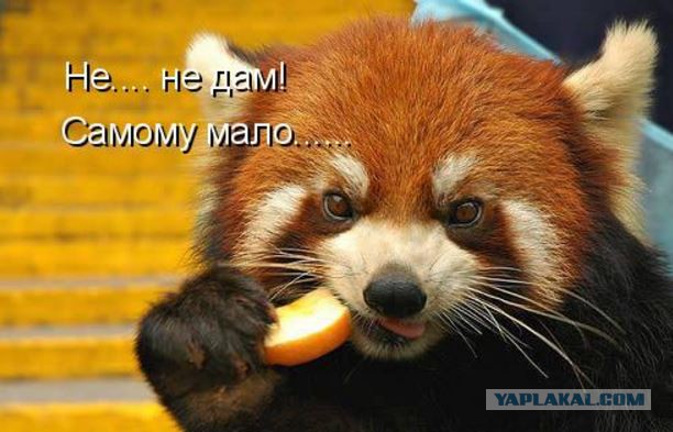 Герда и Кай