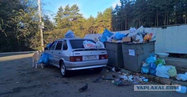 Автомото...