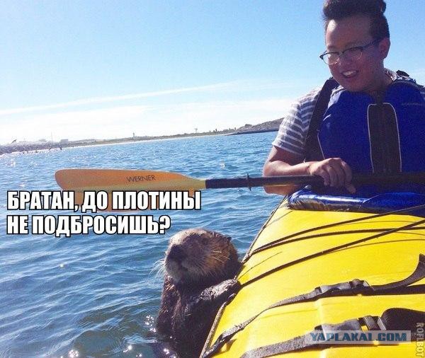 Пост редкостной наркомании и черного юмора