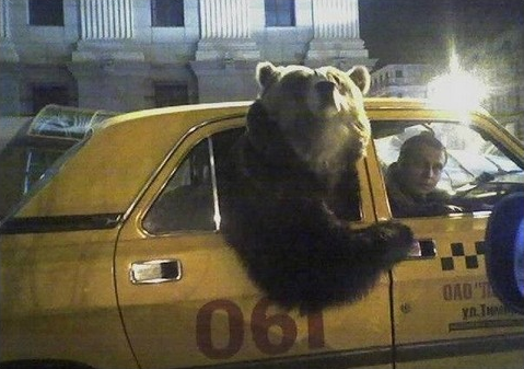 Как завлечь клиента в свое кафе