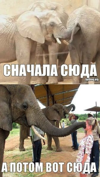 Картинки на пятницу