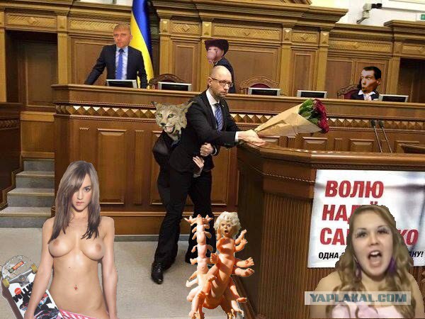 Фото: Яценюка с розами унесли со сцены