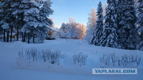 Немного моих фото, авторское