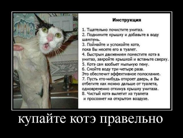 Подборка фото-креатива