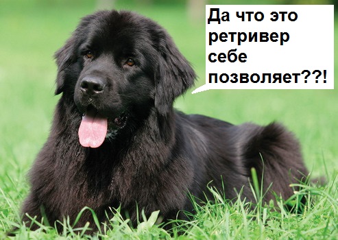 Не сцыте пацаны, водичка норм!