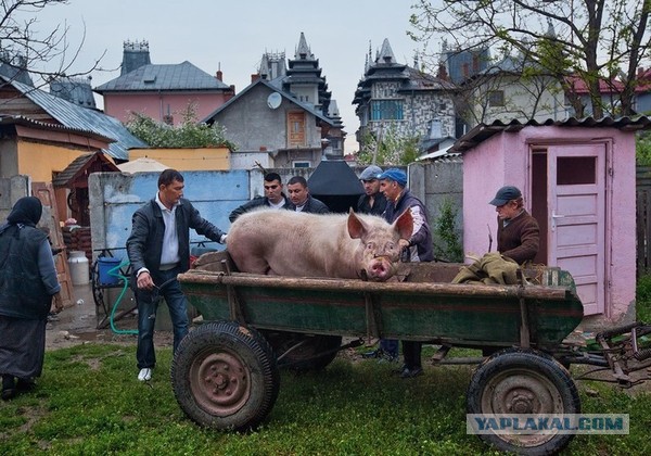 Цыганский рай из ворованной в Европе меди