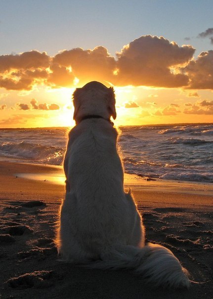 Подборка  картинок