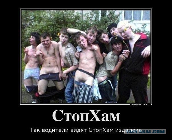 СтопХам всё?