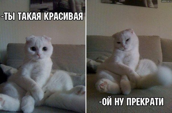 Для поднятия настроения - 7