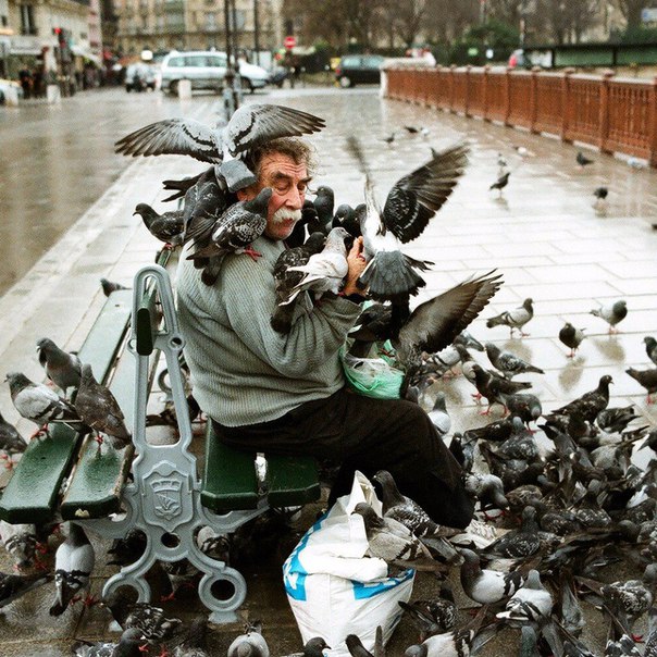 Божьи твари