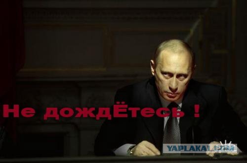 Путин намерен вывести из теневой экономики 30 млн россиян