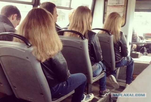 Матрица