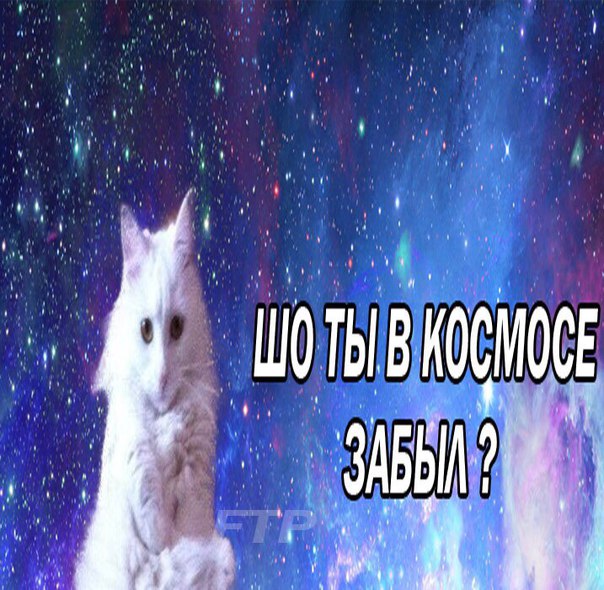 Вжууух! И снова пятница! Ура, товарищи!