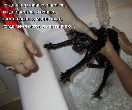 Когда не хочется идти в душ