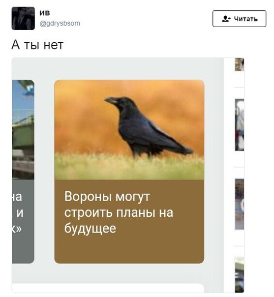 Субботняя деградация