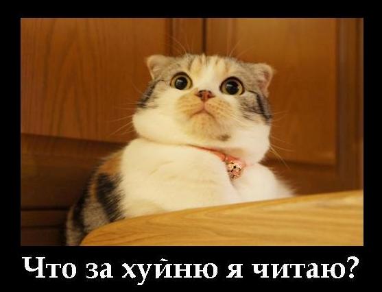 Блуд в семье. Как быть?