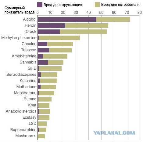 Алкогольный геноцид: По разуму крупным калибром