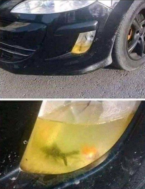 Да что тут вообще происходит?