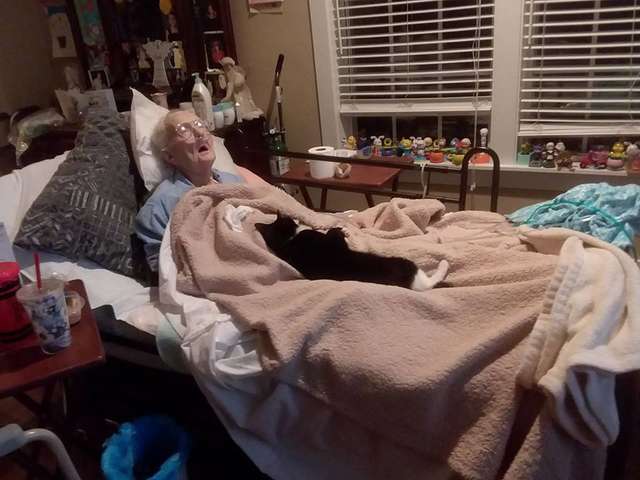 Преданная кошка не отходила от умирающей бабушки, а потом продолжала приносить ей подарки