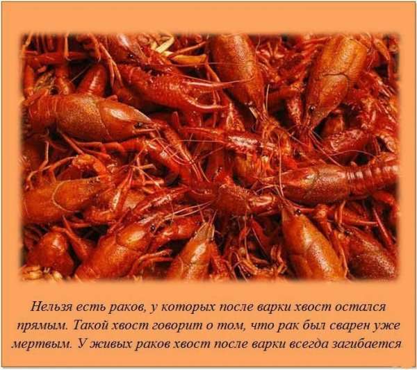 Интересные факты в картинках