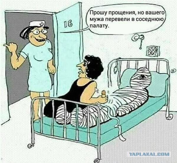 Мадам в голубом отправила перебежчика в полет