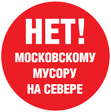 Карельский город накрыл желтый туман, а улицы засыпало мертвыми птицами