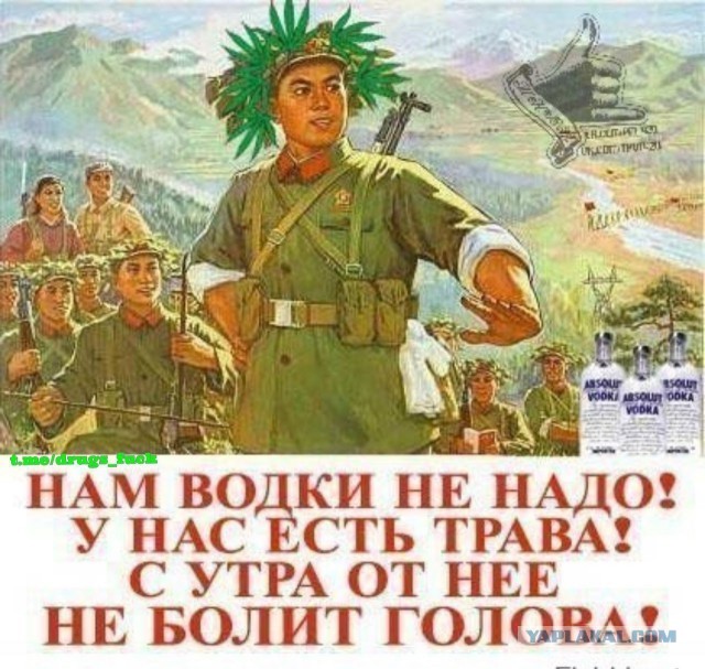 Пятница ведь! Аутентичные пикчи