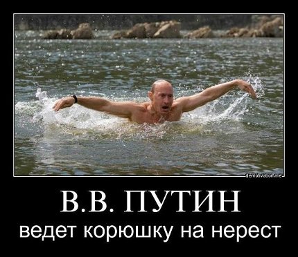 Фотожабы: Путин посещает коронавирусную больницу
