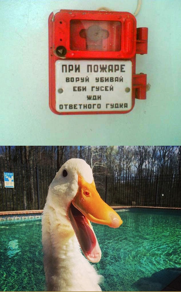Спалился перед женой прямо в кровати