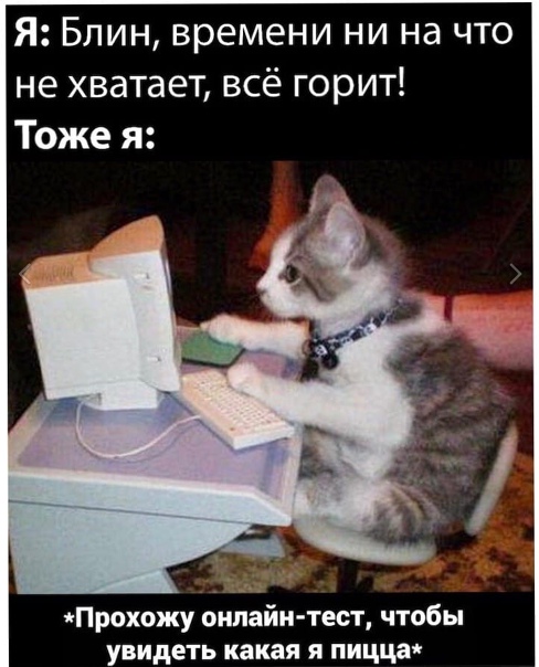 Картинки и мемы для настроения 015