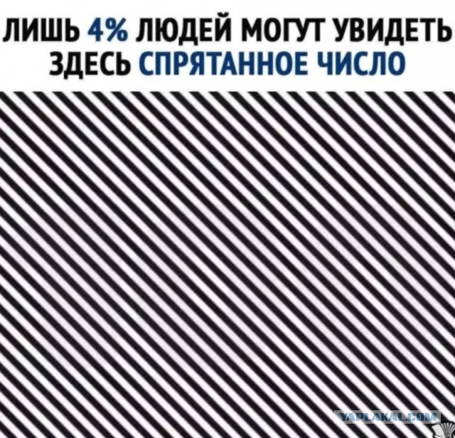 Бредзона 21.02.21