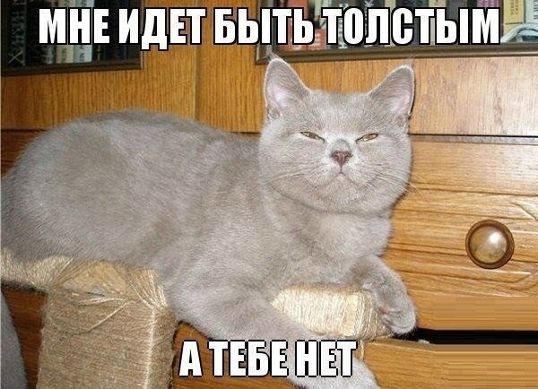 Так себе картинки 28.03.21