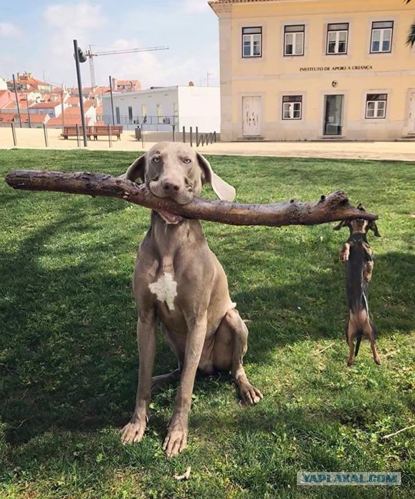 Просто фото...