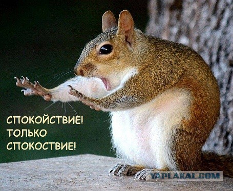 Масштабный сбой произошел произошел в работе Facebook, Instagram и WhatsApp