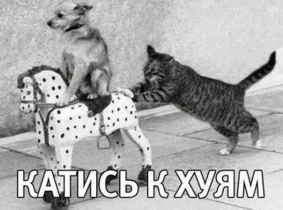 22.02.2022 - начало третьей мировой? Специально подбирали?