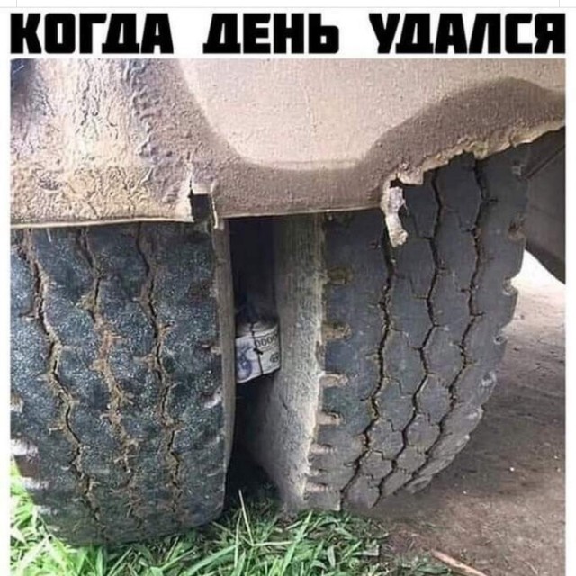 Весёлый полтишок 14.06.22