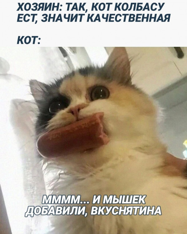 Немного картинок для настроения - 123