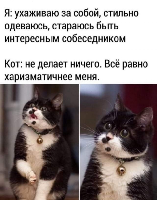 Немного картинок для настроения - 105