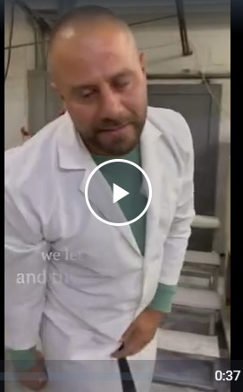 Этж бубль-гум!