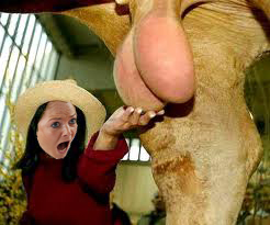 Фотожаба: Девчачьи эмоции