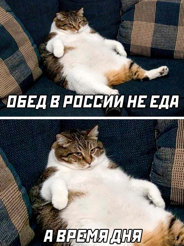 Немного картинок для настроения - 133
