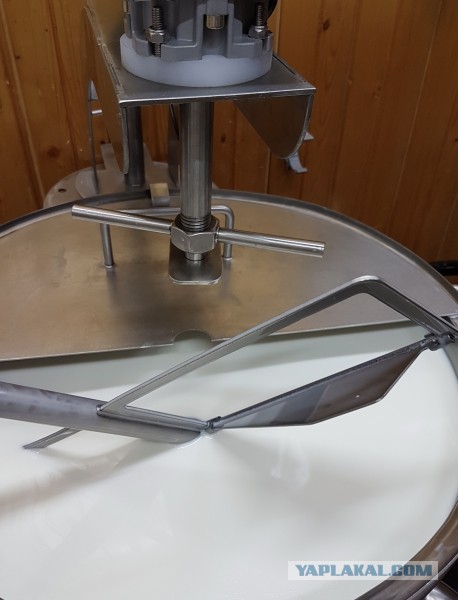 Сыр Маасдам