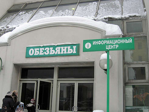 Так себе картинки 07.03.23