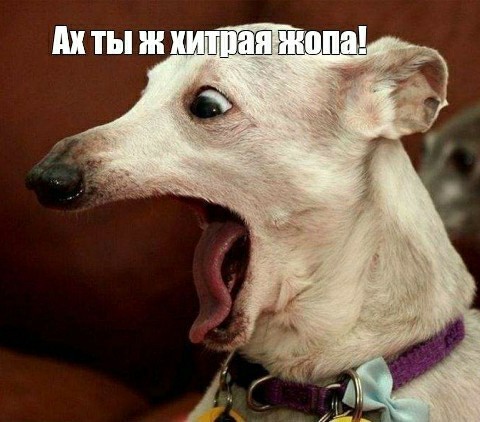 Переживает за любимую тещу