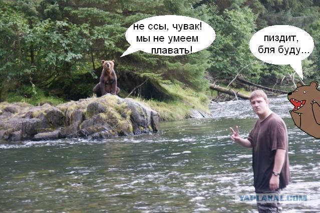 Ему сказали, что медведи не умеют плавать